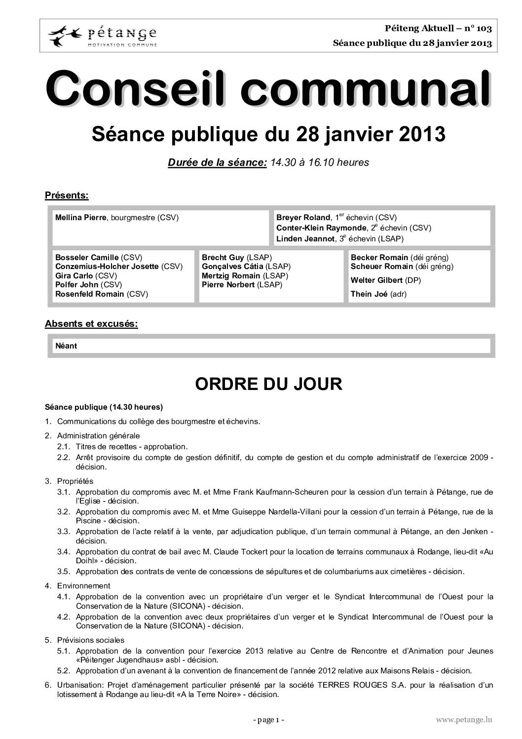 Rapport des séances du conseil communal du 28.01.2013, 26.02.2013 et 18.03.2013