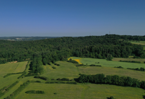 Forum citoyen : la résilience climatique à Pétange
