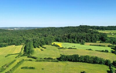 Forum citoyen : la résilience climatique à Pétange