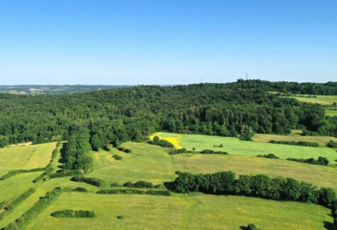 Forum citoyen : la résilience climatique à Pétange